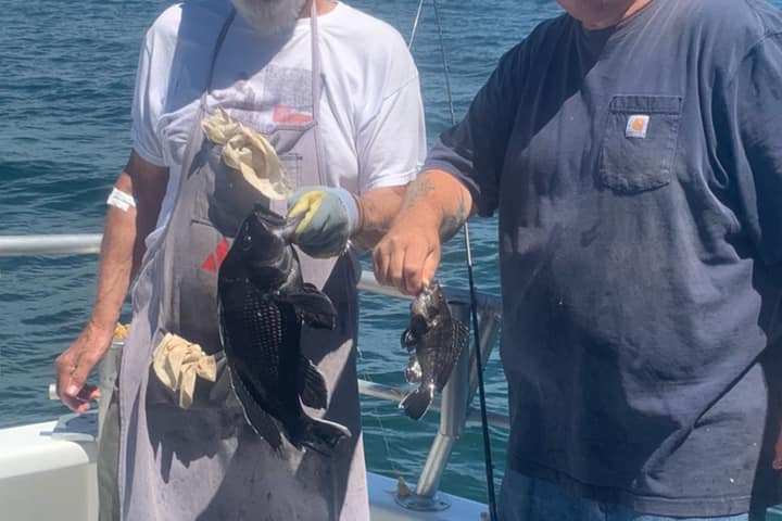 a man holding a fish in the water