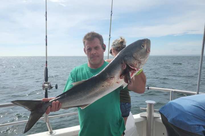 a person holding a fish on a boat in the water
