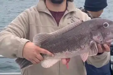 a person holding a fish in the water