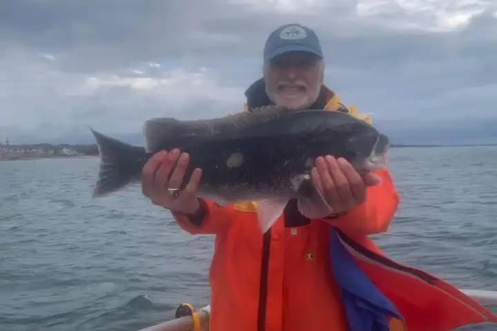 a man holding a fish on a boat in a body of water