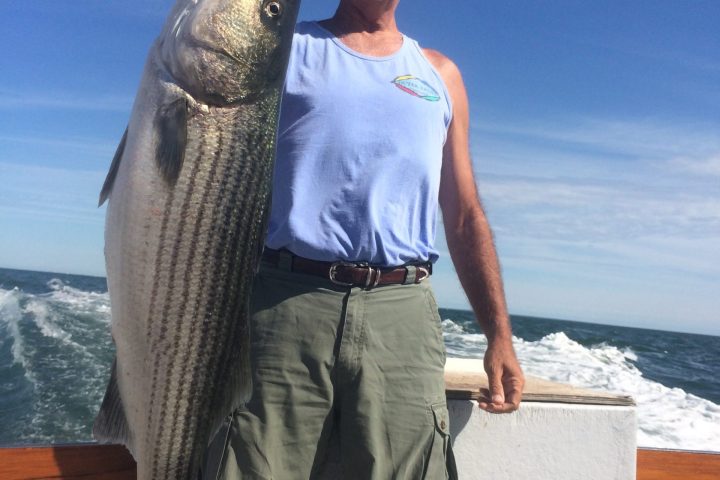 a man holding a fish in the water