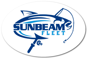 Sunbeam Fleet
