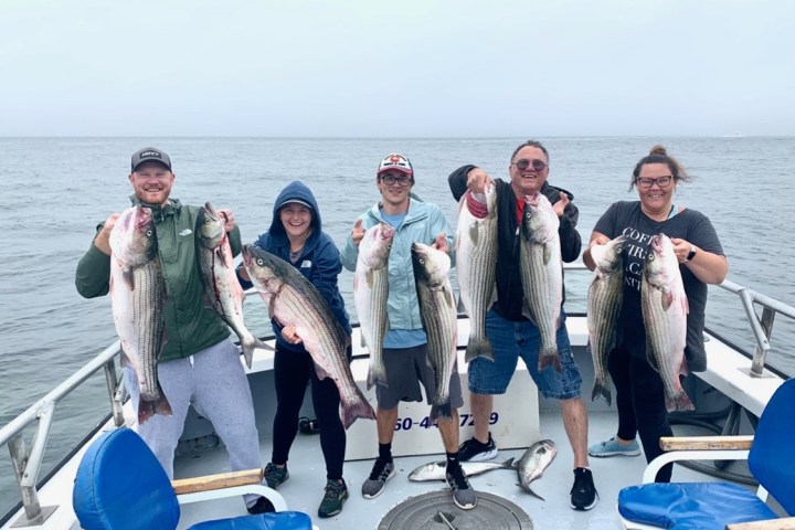 a group of people standing next to a body of water