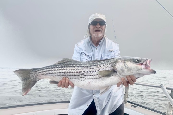 a person holding a fish in the water