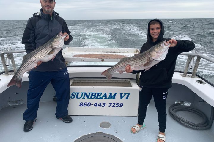 a person holding a fish in the water