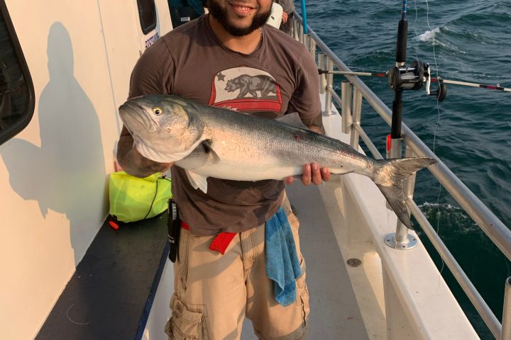a person holding a fish in the water