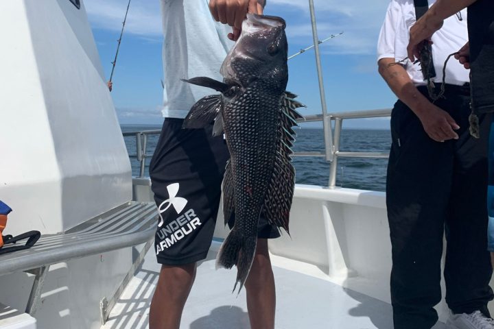 Matilde Gioli et al. on a boat