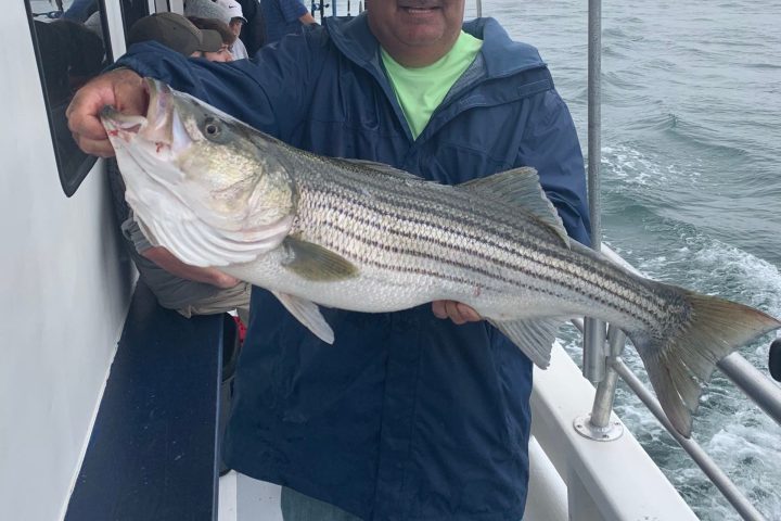 a person holding a fish in the water