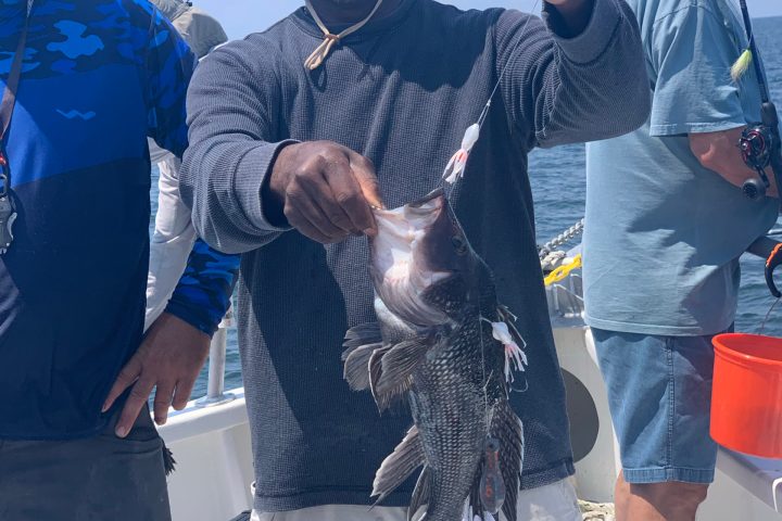 a person holding a fish