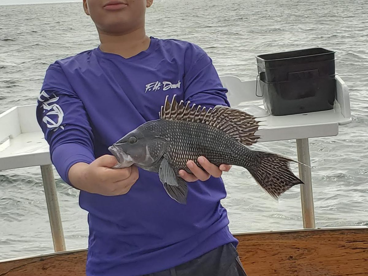 a person holding a fish in the water