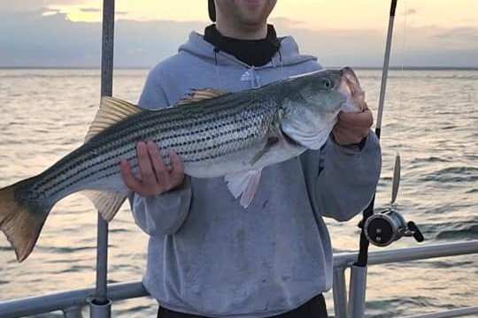 a man holding a fish in the water
