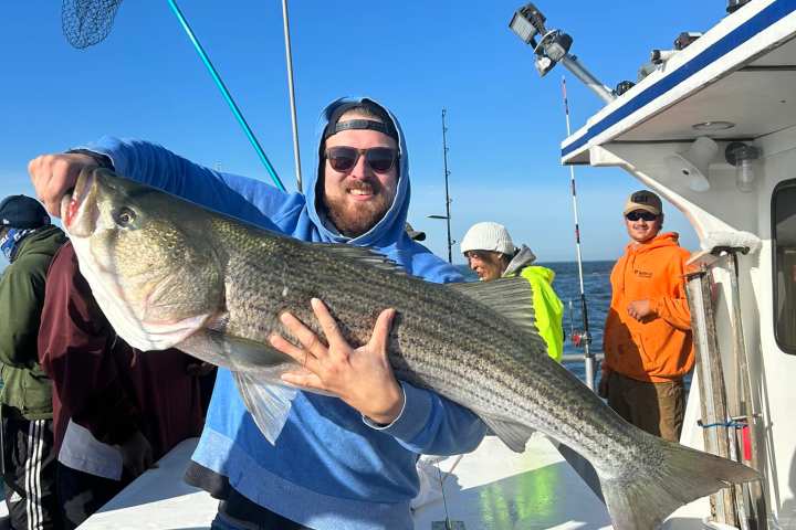 a man holding a fish