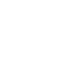 Sunbeam Fleet