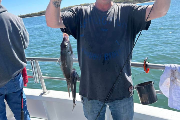 a person holding a fish in the water