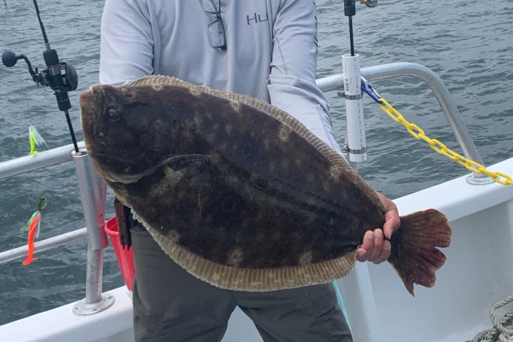 a man holding a fish in the water