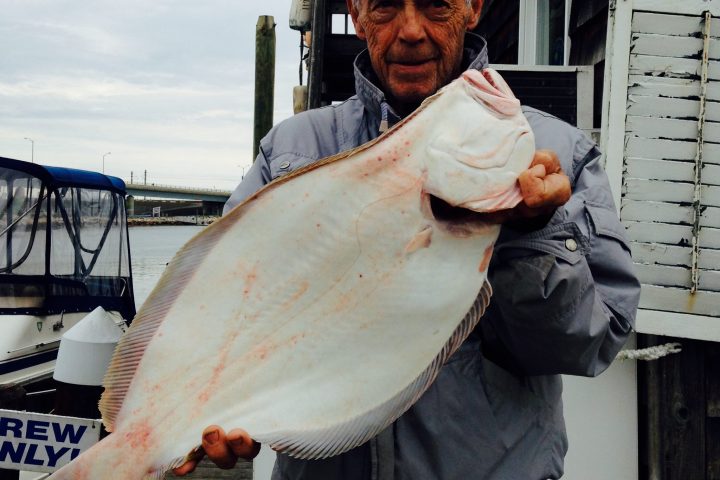 a man holding a fish
